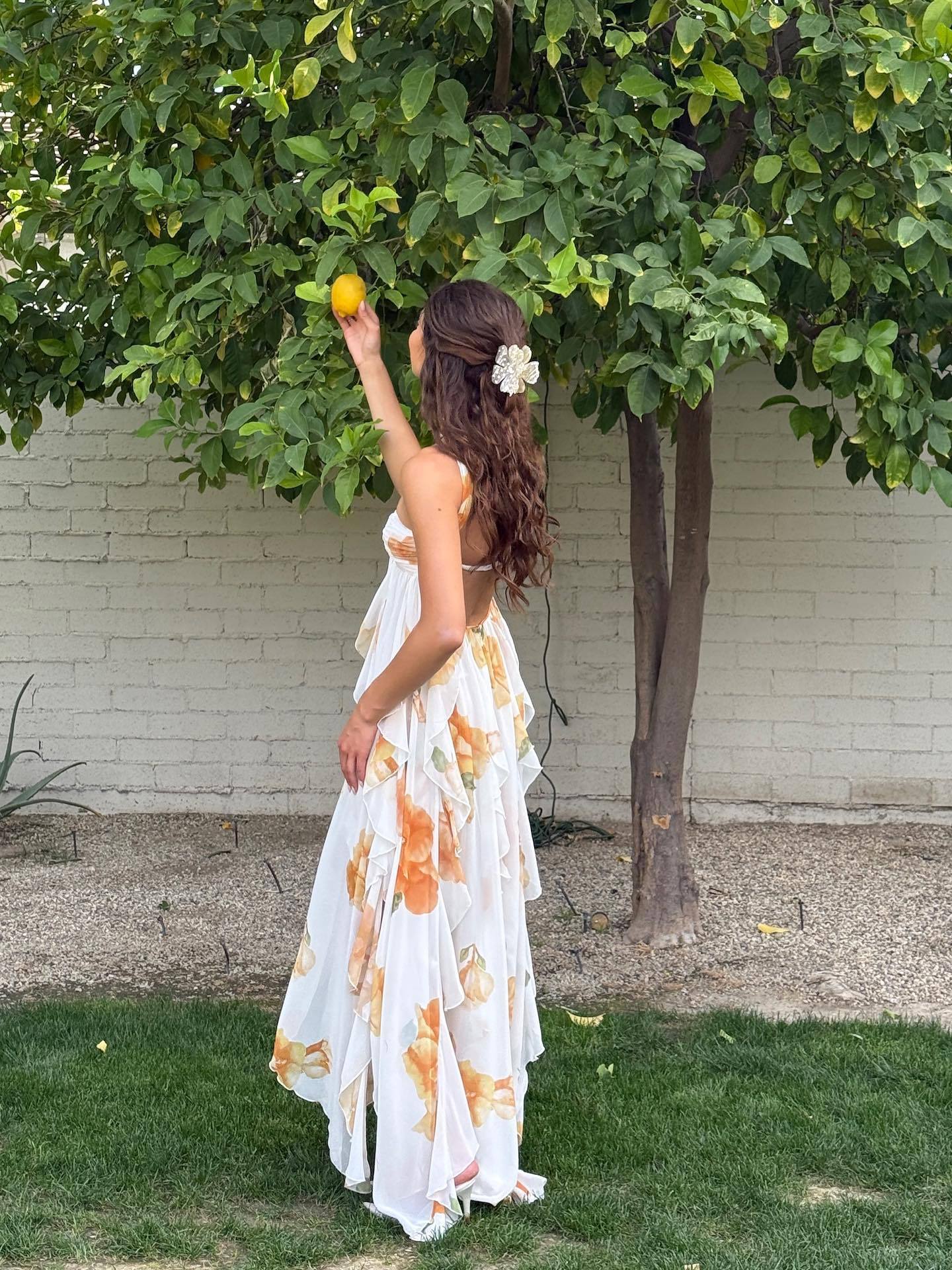 Gwen Halter Maxi Dress